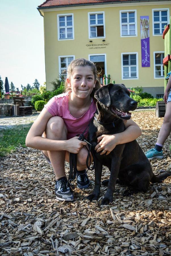 Familien- Und Freizeithotel Gutshaus Petkus ภายนอก รูปภาพ